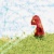 lost in a forest